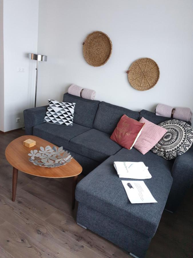 Breidamyri Farm Apartments ラウガー エクステリア 写真